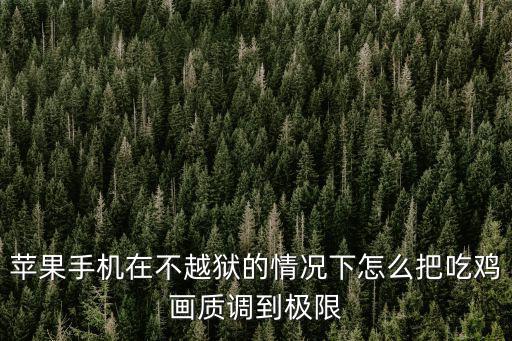 苹果手机在不越狱的情况下怎么把吃鸡画质调到极限