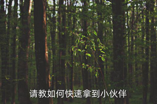青云志手游怎么获得伙伴，青云志手游伙伴上阵搭配推荐 带什么伙伴上阵好