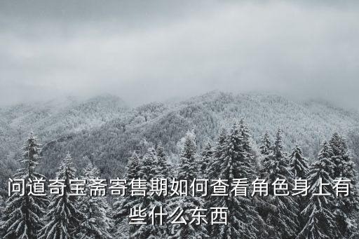 问道奇宝斋寄售期如何查看角色身上有些什么东西
