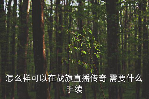 怎么样可以在战旗直播传奇 需要什么手续
