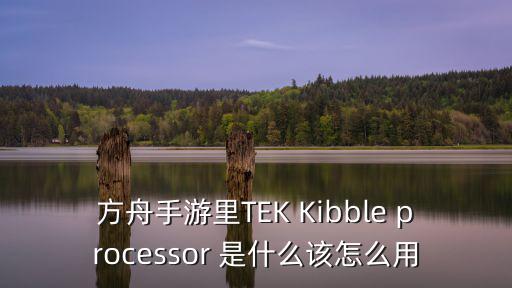 方舟手游里TEK Kibble processor 是什么该怎么用