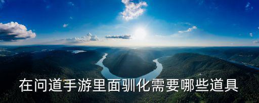 在问道手游里面驯化需要哪些道具