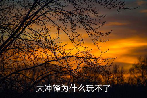 大冲锋为什么玩不了