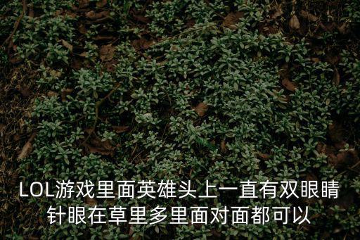 lol手游怎么开扫描眼，lol游戏中怎么查排眼数