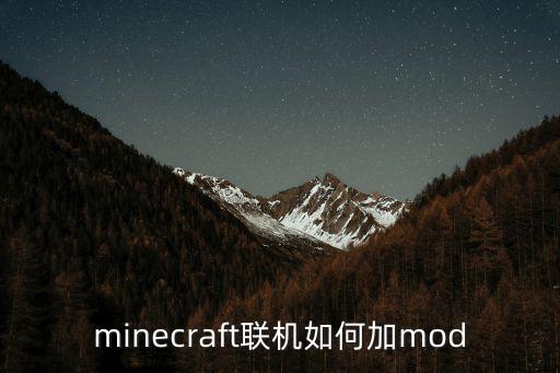 minecraft联机如何加mod