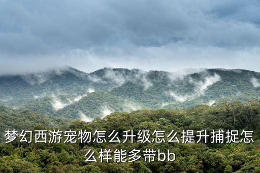 梦幻西游宠物怎么升级怎么提升捕捉怎么样能多带bb