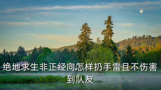 绝地求生非正经向怎样扔手雷且不伤害到队友