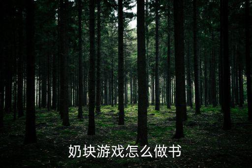 奶块游戏怎么做书