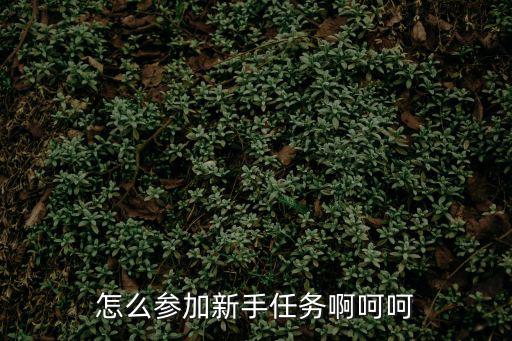 怎么参加新手任务啊呵呵