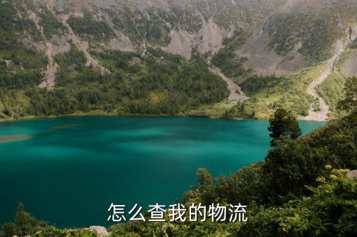 怎么查我的物流