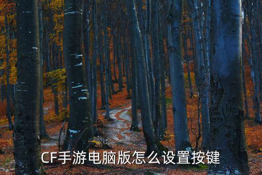 手游版本cf怎么设置按键，CF手游电脑版怎么设置按键