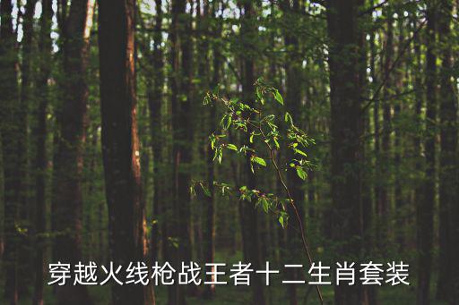 穿越火线枪战王者十二生肖套装