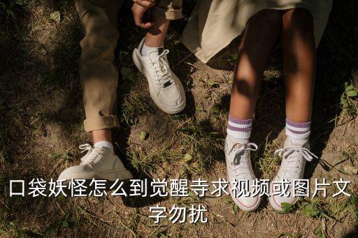 口袋妖怪怎么到觉醒寺求视频或图片文字勿扰