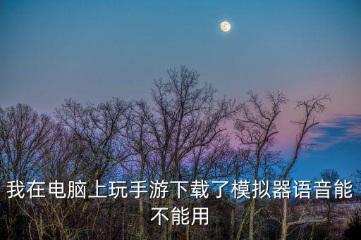 我在电脑上玩手游下载了模拟器语音能不能用