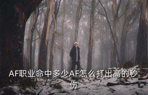 AF职业命中多少AF怎么打出高的秒伤