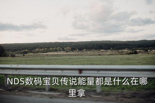 NDS数码宝贝传说能量都是什么在哪里拿