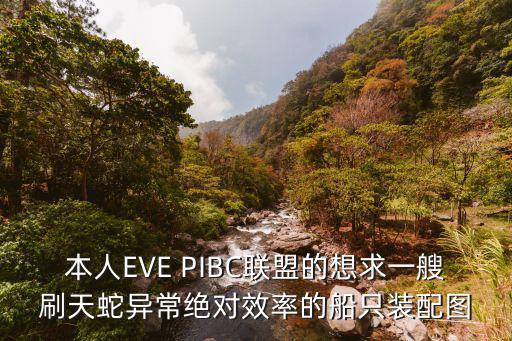 本人EVE PIBC联盟的想求一艘刷天蛇异常绝对效率的船只装配图