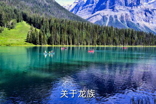 关于龙族
