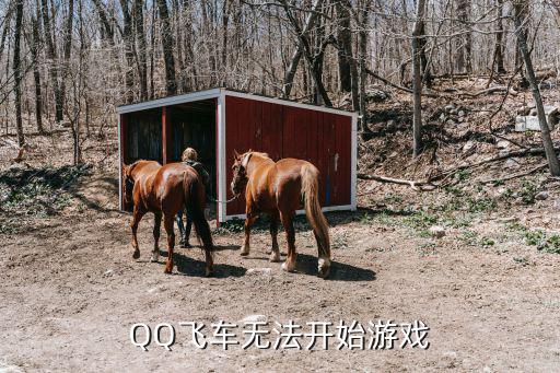 手游qq飞车怎么开始不了游戏，QQ飞车无法开始游戏