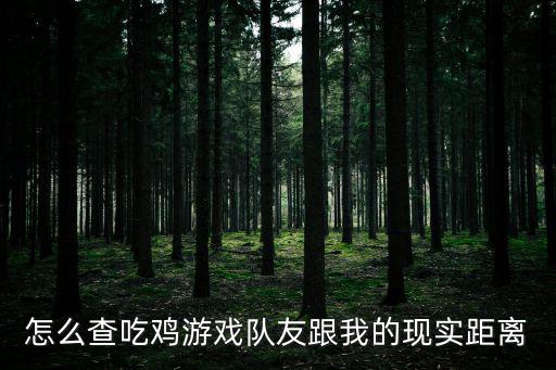 怎么查吃鸡游戏队友跟我的现实距离