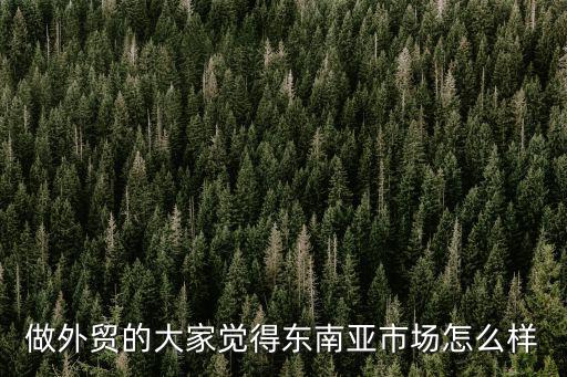 做外贸的大家觉得东南亚市场怎么样