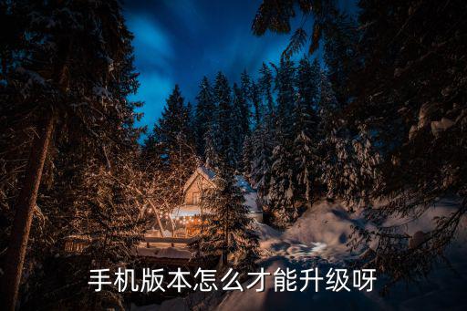 手游pubg怎么升级到最高版本，怎么给游戏版本升级