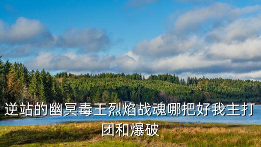 逆站的幽冥毒王烈焰战魂哪把好我主打团和爆破