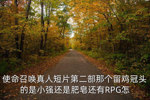 使命召唤真人短片第二部那个留鸡冠头的是小强还是肥皂还有RPG怎