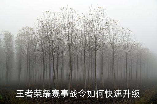 王者荣耀手游战令怎么刷最快，王者荣耀体验服战令进阶卡怎么得