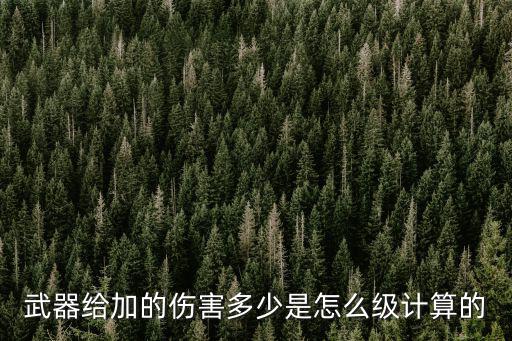 武器给加的伤害多少是怎么级计算的