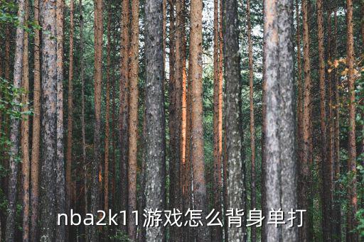 nba2k22手游背身怎么按，nba2k11游戏怎么背身单打