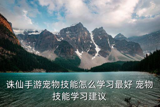 诛仙手游鬼道宠物怎么点技能，诛仙2鬼道宠物捕捉技能点怎么加