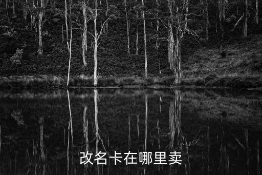 改名卡在哪里卖