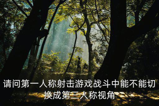 请问第一人称射击游戏战斗中能不能切换成第三人称视角