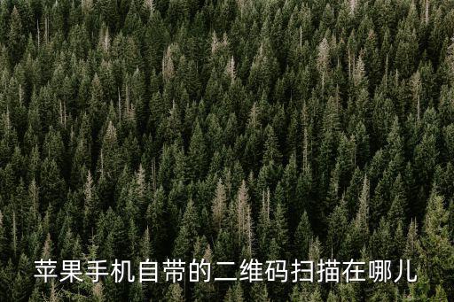 苹果手机自带的二维码扫描在哪儿