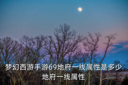 梦幻西游手游69地府一线属性是多少地府一线属性