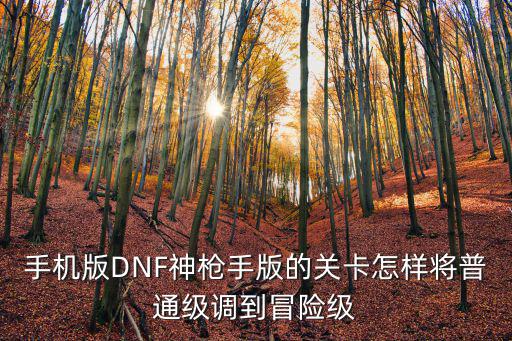 手机版DNF神枪手版的关卡怎样将普通级调到冒险级