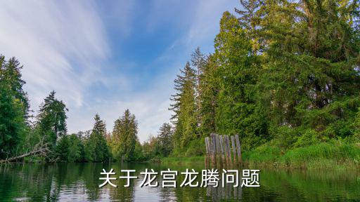 梦幻手游龙宫龙腾不遨游怎么回事，求梦幻西游手游龙宫全解析