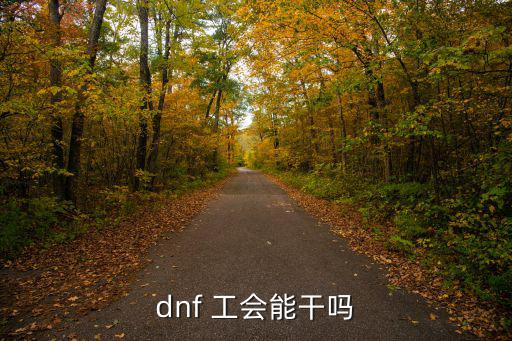 dnf 工会能干吗