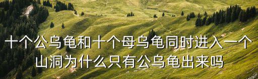 方舟手游乌龟洞怎么打开，方舟生存进化掉进坑洞怎么办怎么爬出来攻略