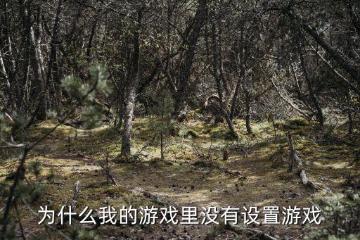 问道手游游戏里怎么没有设置选项，为什么我的游戏里没有设置游戏