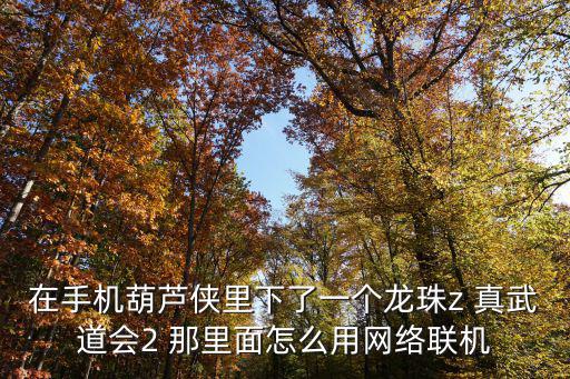 在手机葫芦侠里下了一个龙珠z 真武道会2 那里面怎么用网络联机
