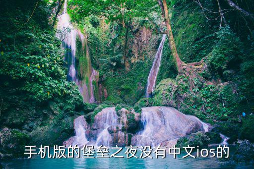 手机版的堡垒之夜没有中文ios的