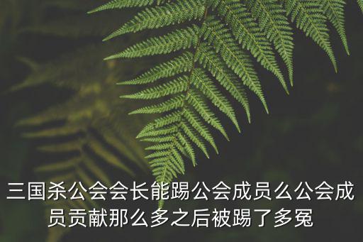 手游三国杀公会会长怎么踢人，三国杀怎么弹劾会长