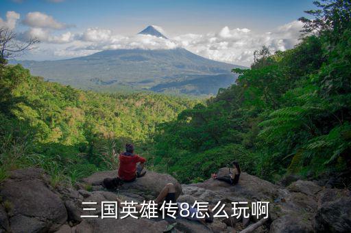 三国英雄传8怎么玩啊