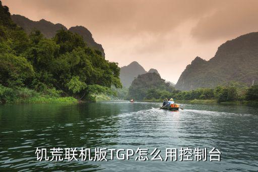 饥荒联机版TGP怎么用控制台