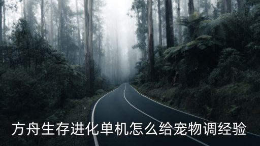 方舟生存进化单机怎么给宠物调经验
