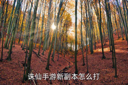 诛仙手游新副本怎么打