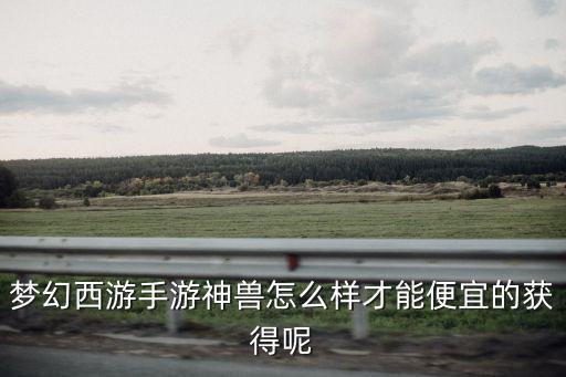 梦幻西游手游神兽怎么样才能便宜的获得呢