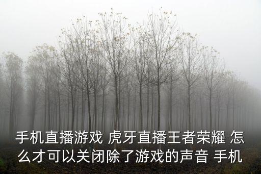 手机直播游戏 虎牙直播王者荣耀 怎么才可以关闭除了游戏的声音 手机